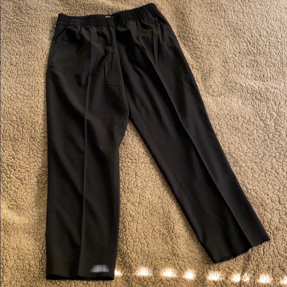 Everlane Casual Trousers with Elastic Waist!